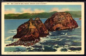 Sea Lions on Seal Rocks,Oregon Coast Highway