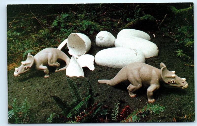 Dinosaur Eggs Prehistoric Gardens Oregon Coast Highway 101 Postcard B31