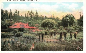 Vintage Postcard 1920's Bucharts' Garden Flower Victoria British Columbia