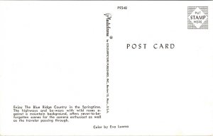 Blue Ridge Country Springtime Mountains Massachusetts MA VTG Postcard UNP Unused 