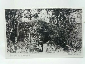 Corneys Tea Gardens Toddington Littlehampton Sussex Vintage Repro RP Postcard