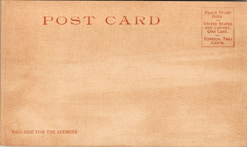 Vtg 1900 St Johns New Brunswick Canada Antique Unidivided Back Postcard