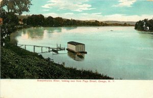 c1910 Postcard; Susquehanna River East from Page Street, Owego NY Tioga County