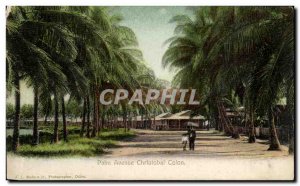 Postcard Old Palm Avenue Cristobal Colon Sri Lanka