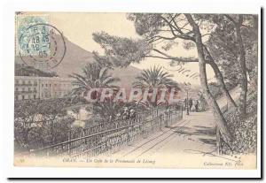 Algeria Oran Old Postcard A corner of Parkway Letang