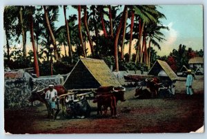 Pampanga Philippine Islands Postcard Ox Carts with Springless Body and Roof 1910