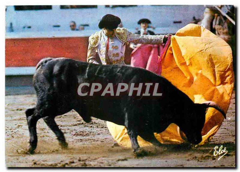 Modern Postcard The Bulls Race Working Cape La Veronique