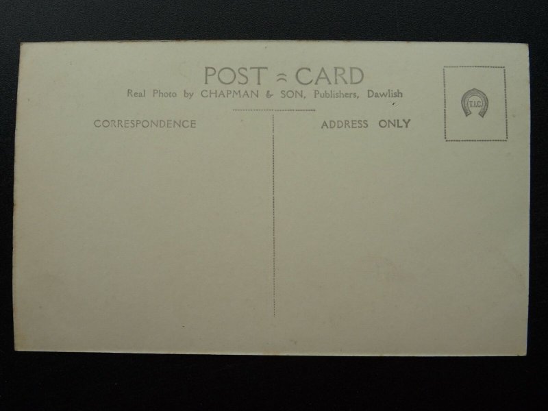 Devon FINGLE BRIDGE Tea Shelter from Second Seat - Old RP Postcard Chapman 14701