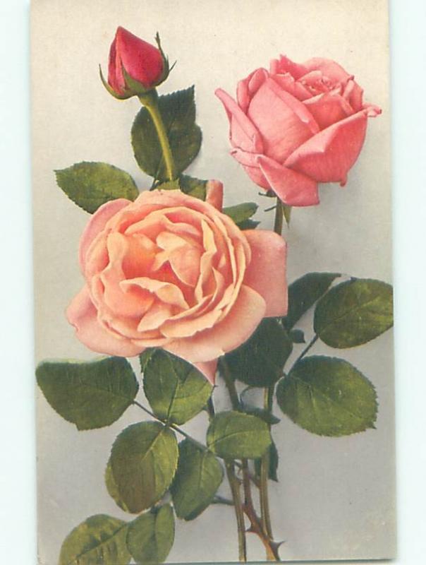 Very Old Foreign Postcard BEAUTIFUL FLOWERS SCENE AA4771