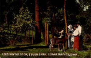 Iowa Cedar Rapids Beyer Park Feeding The Deer