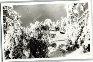 c1950s Mid Winter Mount Wilson California Postcard Rppc Real Photo Ca Snow