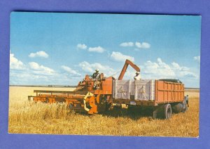 Harvest Time Postcard, Loading Grain From Combines,Harvester