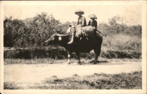 Borneo Malaysia Bajow Bajau Indigenous Ride Water Buffalo Vintage Postcard