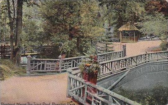 Maine Portland Maine The Trout Pond River Ton Park 1911