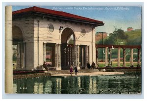 C. 1915-20 Watching The Wild Ducks The Embarcadero, Oakland, CA Postcard P222E