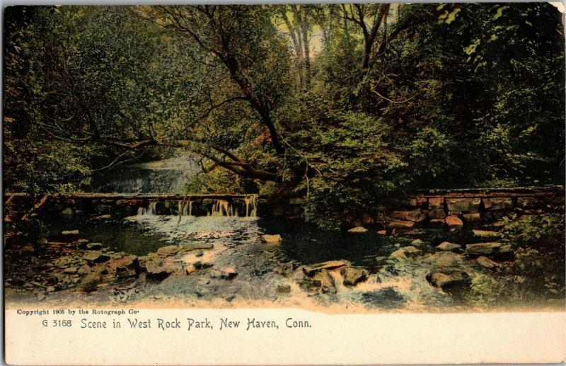 Scene in West Rock Park New Haven CT UDB Vintage Postcard O18