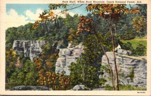 Arkansas Ozark National Forest White Rock Mountain Rock Bluff 1941 Curteich