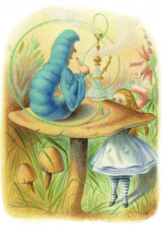 Alice In Wonderland The Caterpillar 1911 Book Postcard