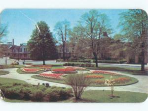 Pre-1980 TULIPS IN PLYMOUTH PARK Rochester New York NY c8474