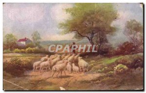 Old Postcard Fancy Shepherd and sheep