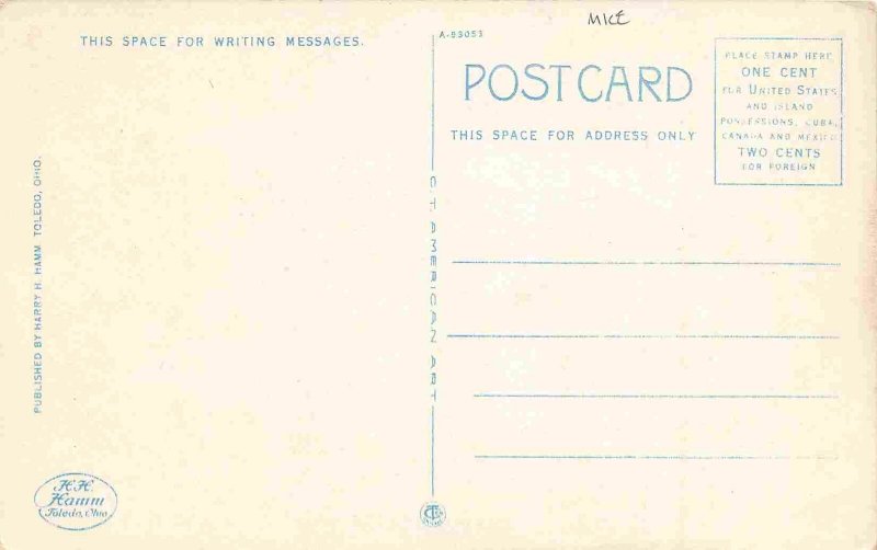 High School Monroe Michigan 1920s postcard