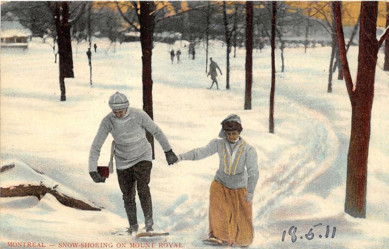 br105478 snow shoeing  mount royal montreal canada ski skate