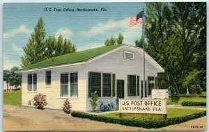 M-9500 US Post Office Rattlesnake Florida