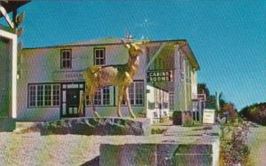 Jacobs Ladder Summit House & Deer Monument Becket Massachusetts