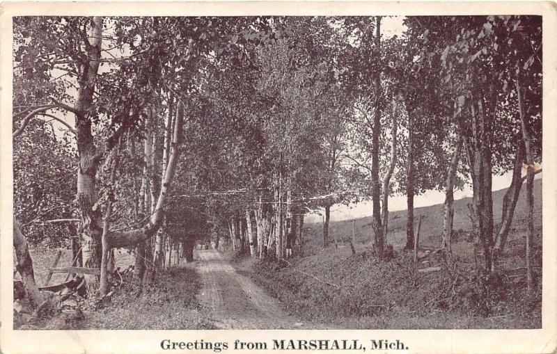 Marshall Michigan~Walk in the Woods~c1910 B&W Postcard