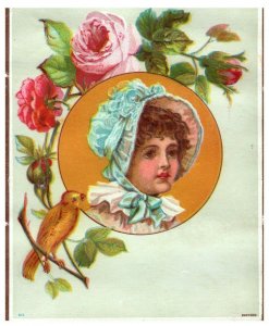 1880's Set of 4 Adorable Kids Birds Flowers Victorian Trade Cards P98