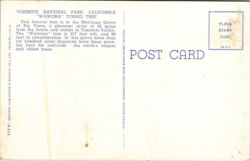 Yosemite National Park California CA Wawona Tunnel Tree Mariposa Postcard UNP 