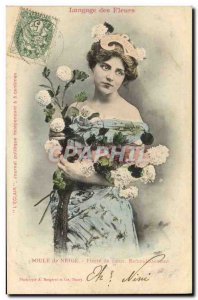 Old Postcard Fantaisie The Language of Flowers Snowball Pride Heart Cooling