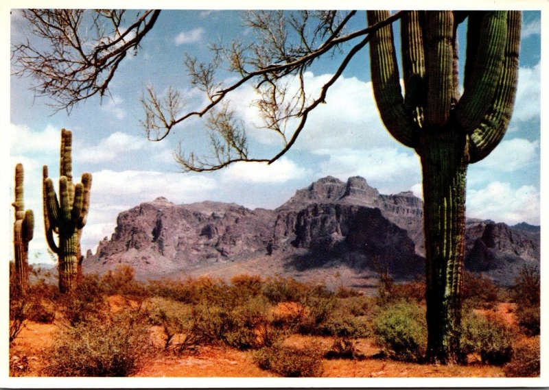 Arizona Superstition Mountain With Giant Saguaro Cactus