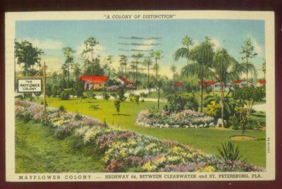 MAYFLOWER COLONY HWY 64 ST PETERSBURG LARGO FL POSTCARD