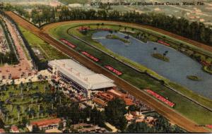 Florida Miami Aerial View Hialeah Race Course Curteich