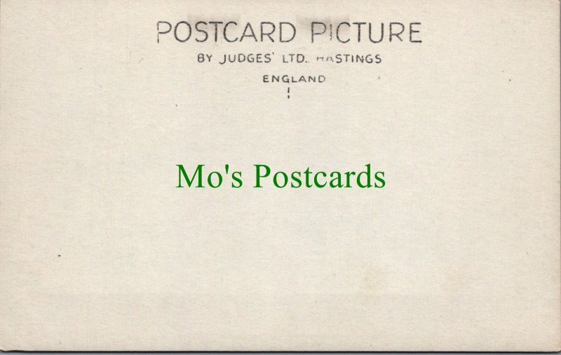 Devon Postcard - Moreton, Princetown Road, Dartmoor  RS33617