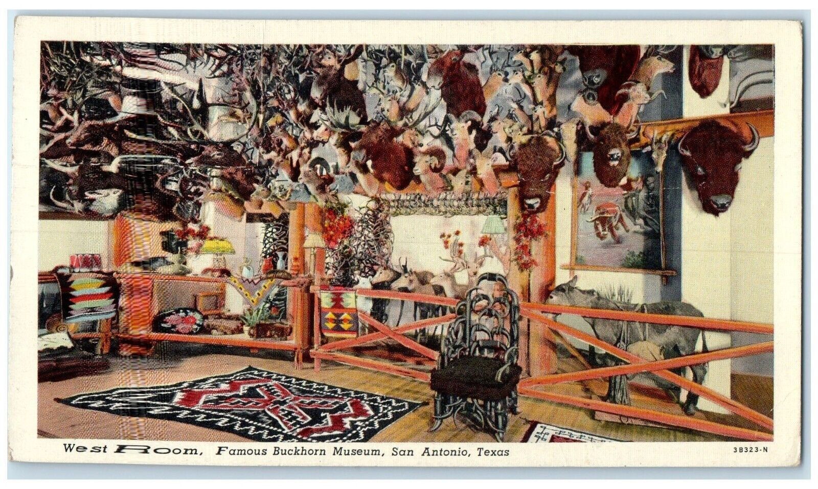1949 West Room Famous Buckhorn Museum Interior Chair San Antonio Texas Postcard United States
