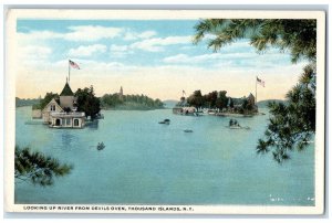 c1920 Looking Up River Devils Oven Exterior Thousand Islands New York Postcard 