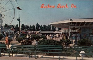 Hampton Virginia VA Buckroe BeachAmusement Park 1950s-60s Vintage Postcard