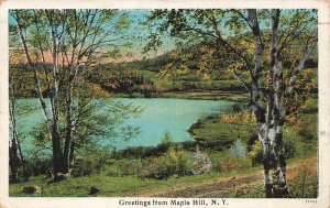 GREETINGS FROM MAPLE HILL NEW YORK POSTCARD-1933 POSTMARK ROSENDALE