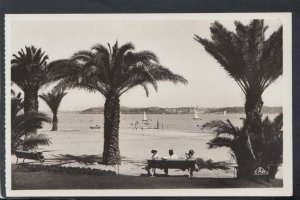 France Postcard - Dinard - Les Palmiers, Au Fond St-Servan   T10031