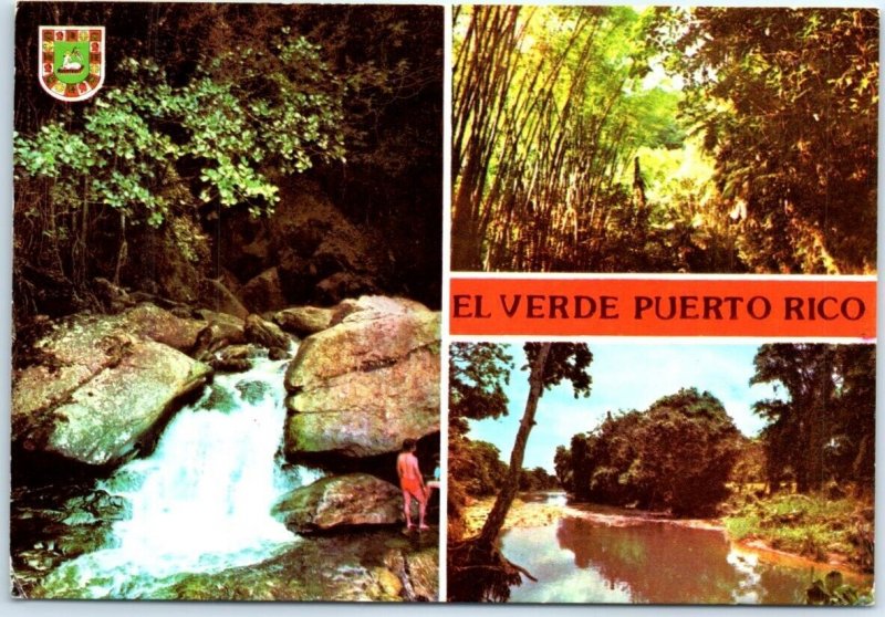 Postcard - El Verde - Puerto Rico