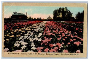 Council Bluffs Iowa IA Postcard Paeony Field Meneray Crescent Nursery Co. 1912