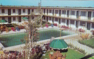 Florida Key Largo Rod and Reel Motel Swimming Pool In The Florida Keys