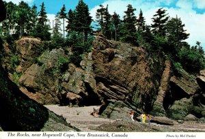 CONTINENTAL SIZE POSTCARD THE ROCKS NEAR HOPEWELL CAPE NEW BRUNSWICK CANADA