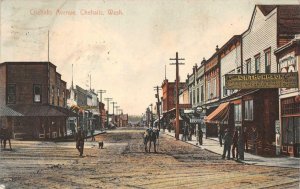 CHEHALIS AVENUE CHEHALIS WASHINGTON E.H. THOMSON COAL & CIGAR POSTCARD 1908