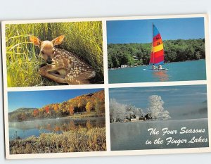 Postcard The Four Seasons in the Finger Lakes New York USA