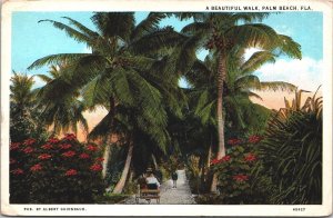 USA A Beautiful Walk Palm Beach Florida Vintage Postcard 05.25
