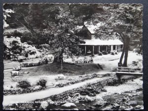 Devon LYNMOUTH Watersmeet TEA GARDENS c1960 RP Postcard by Frith