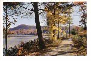 Peaceful Scene, Photo Frank J Miller, Used 1961 Jackson's Point, Ontario...